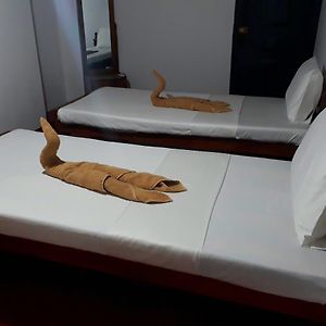 Budget Zimmer mit zwei Einzelbetten